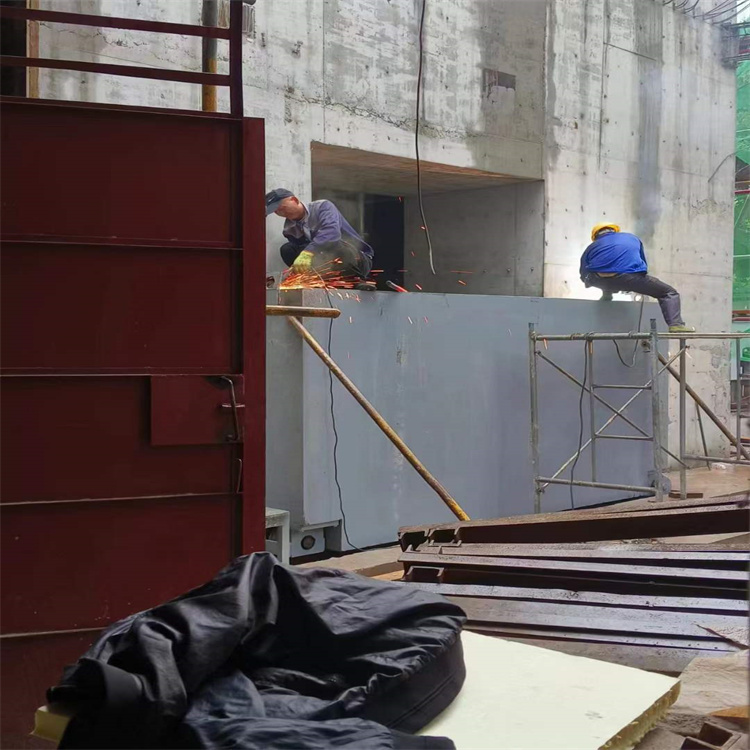重庆聊城阳谷铅门生产厂家：高强度铅门的应用